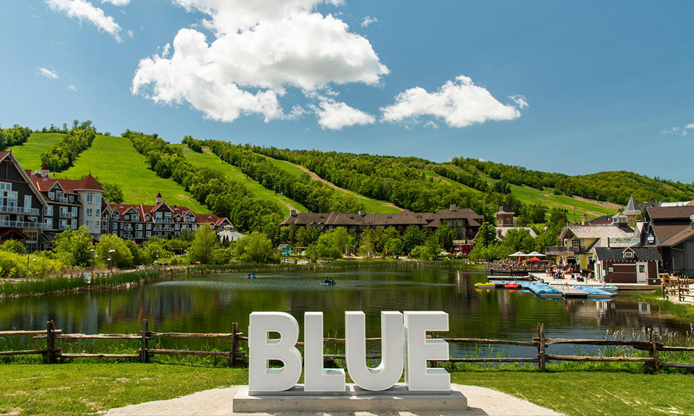 blue mountain